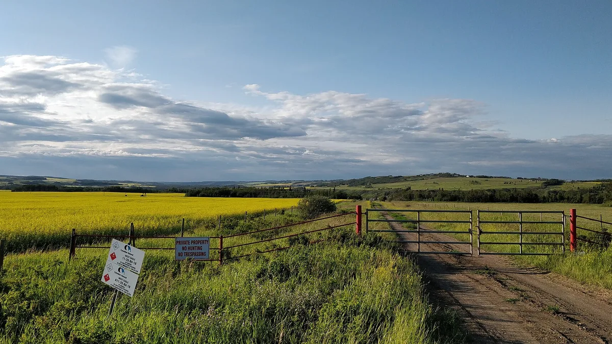Regional Scenes